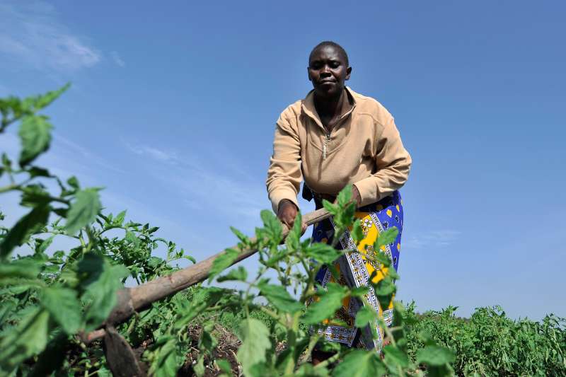 Josephine Mbinya, a farmer, hoes the soil in her tomato field at her farm in Joska, Kenya, on January 28, 2016. Even with increased access to fertilizer and irrigation, there are limits to what small farmers will be able to grow and African countries will need to lure more foreign investment to ramp up mechanized food production, according to Ernst Janovsky, the head of agribusiness at Barclays Africa, a unit of Barclays Plc.