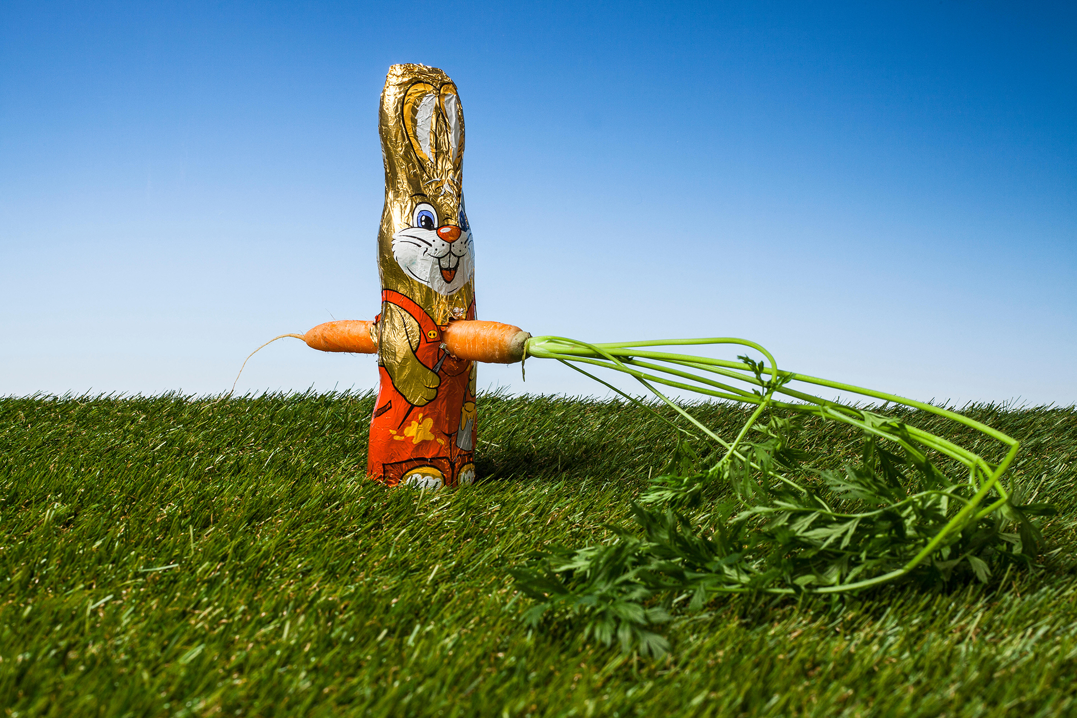 chocolate bunny stabbed with carrot