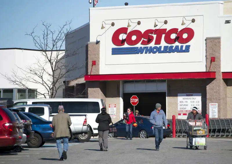 Costco college essay analysis image