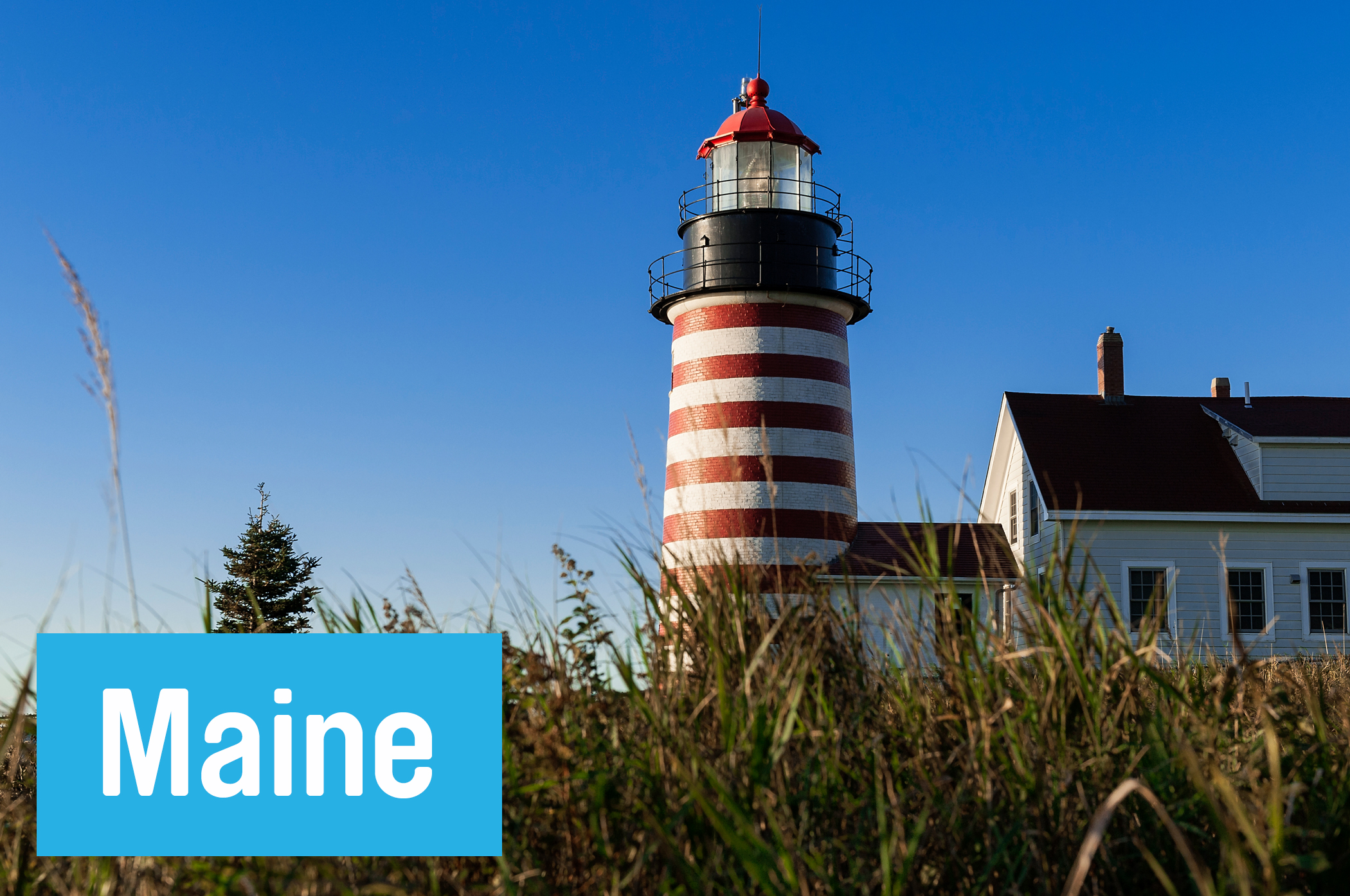 Pretend you’re a Light Keeper at Lubec’s 1858 lighthouse at <a href="http://www.westquoddy.com/wq_visitor_center.htm" target="_blank">West Quoddy Head Light Keepers Association,</a> keeping your eyes out for seals and humpback whales along the coastline.