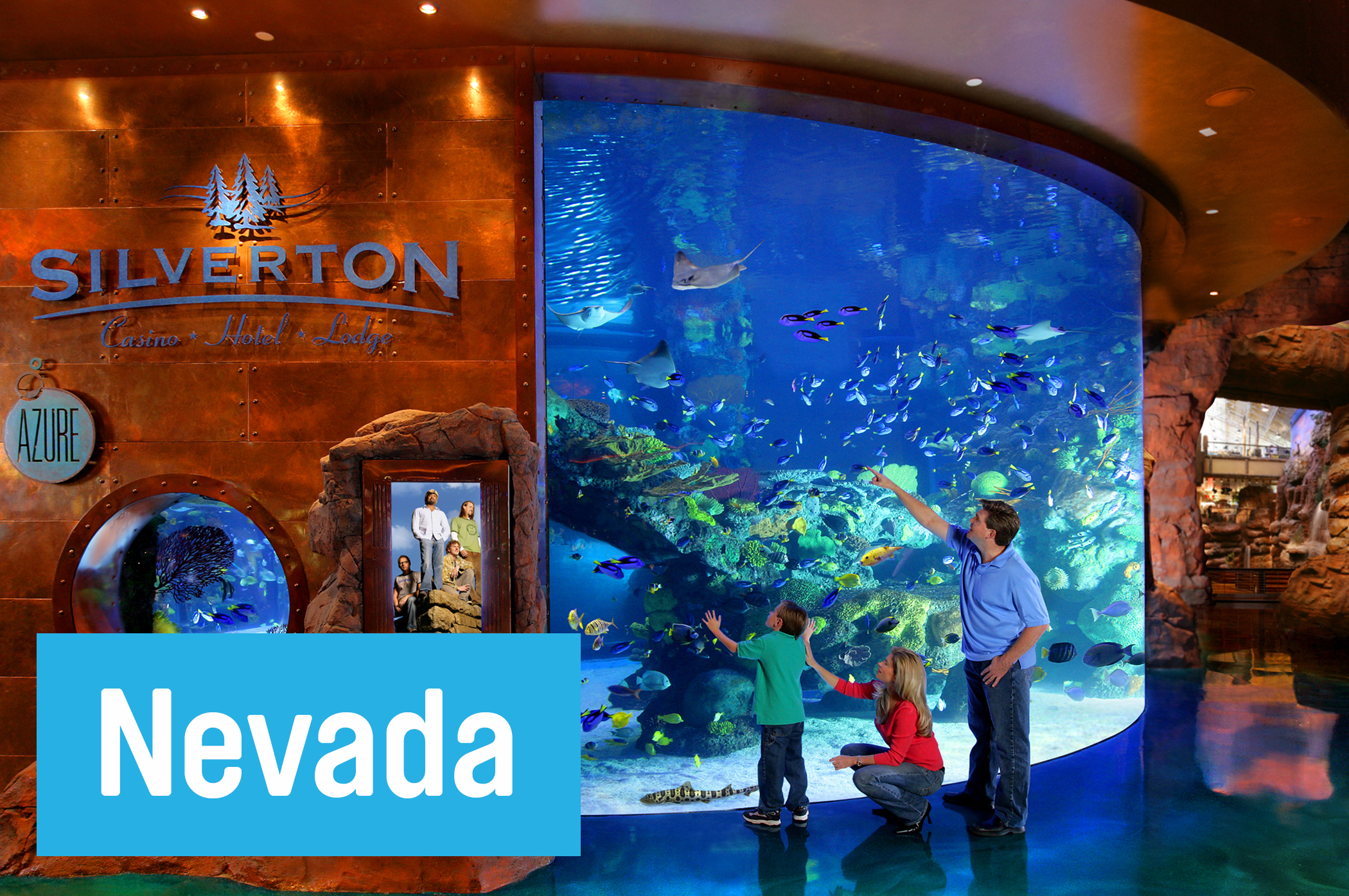 See how many of the 160 species of fish you can spot at the <a href="http://www.vegas.com/attractions/on-the-strip/silverton-aquarium/" target="_blank">Aquarium at the Silverton Hotel,</a> among them triggerfish, leopard sharks--and live mermaids. After all, this is Vegas, baby.