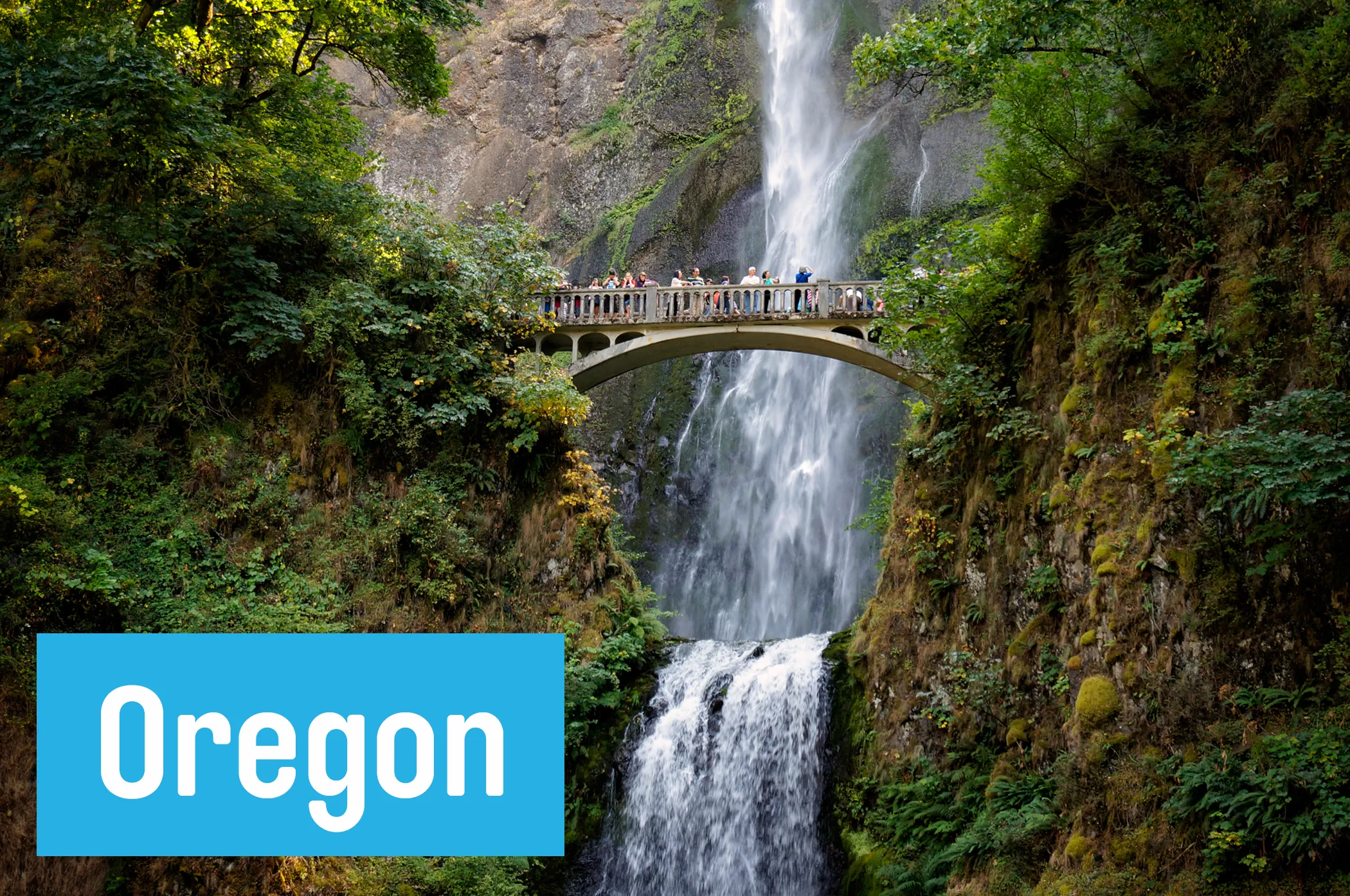 Hike the rainforest-shrouded 611-foot-tall <a href="http://www.oregon.com/attractions/multnomah_falls" target="_blank">Multnomah Falls waterfall</a>, 30 minutes outside of Portland.