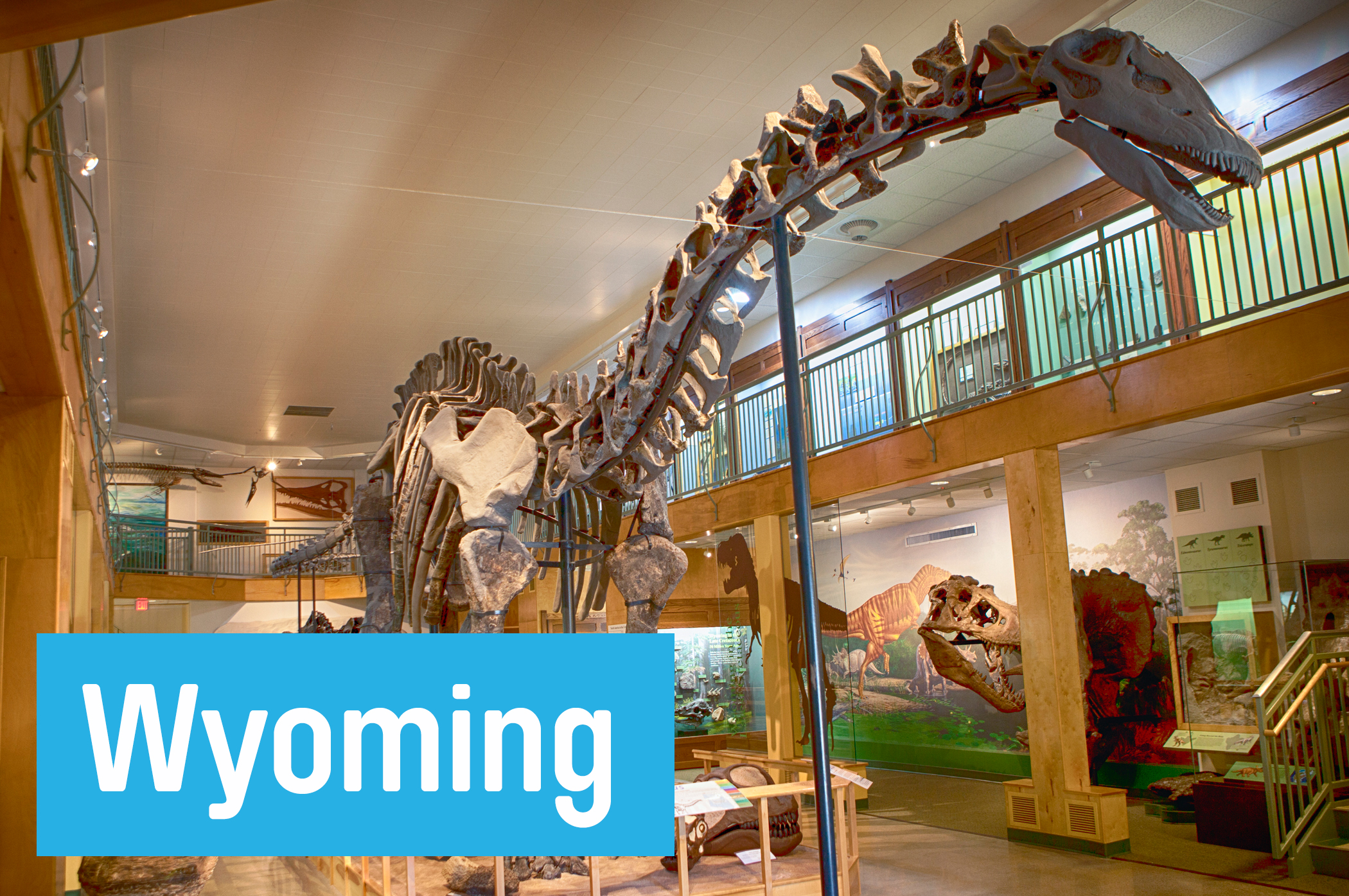 Feed your inner paleontologist at the University of Wyoming’s <a href="http://www.uwyo.edu/geomuseum/" target="_blank">Geological Museum,</a> in Laramie. Highlights include the 75-foot Apotosaurus skeleton and a chance to watch fossils being cleaned and prepped for possible display.