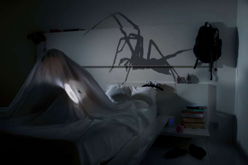 big scary shadow of spider