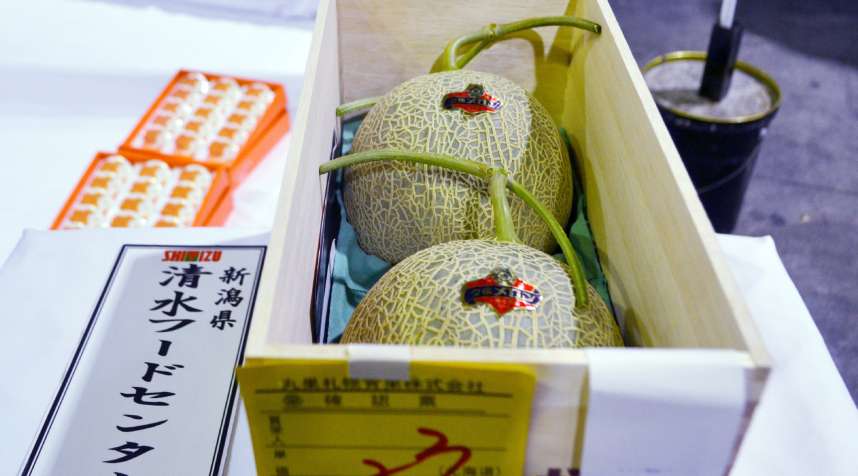 A single pair of Yubari melons.