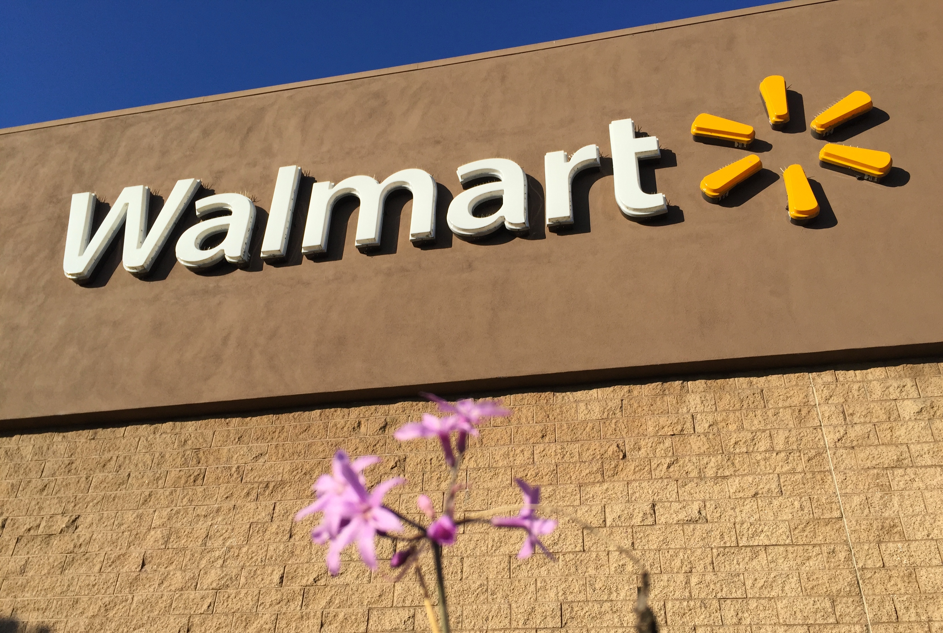 Walmart Sues Visa Over Chip Card Signatures