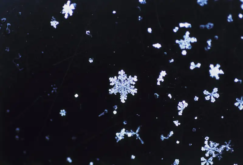 Snowflakes