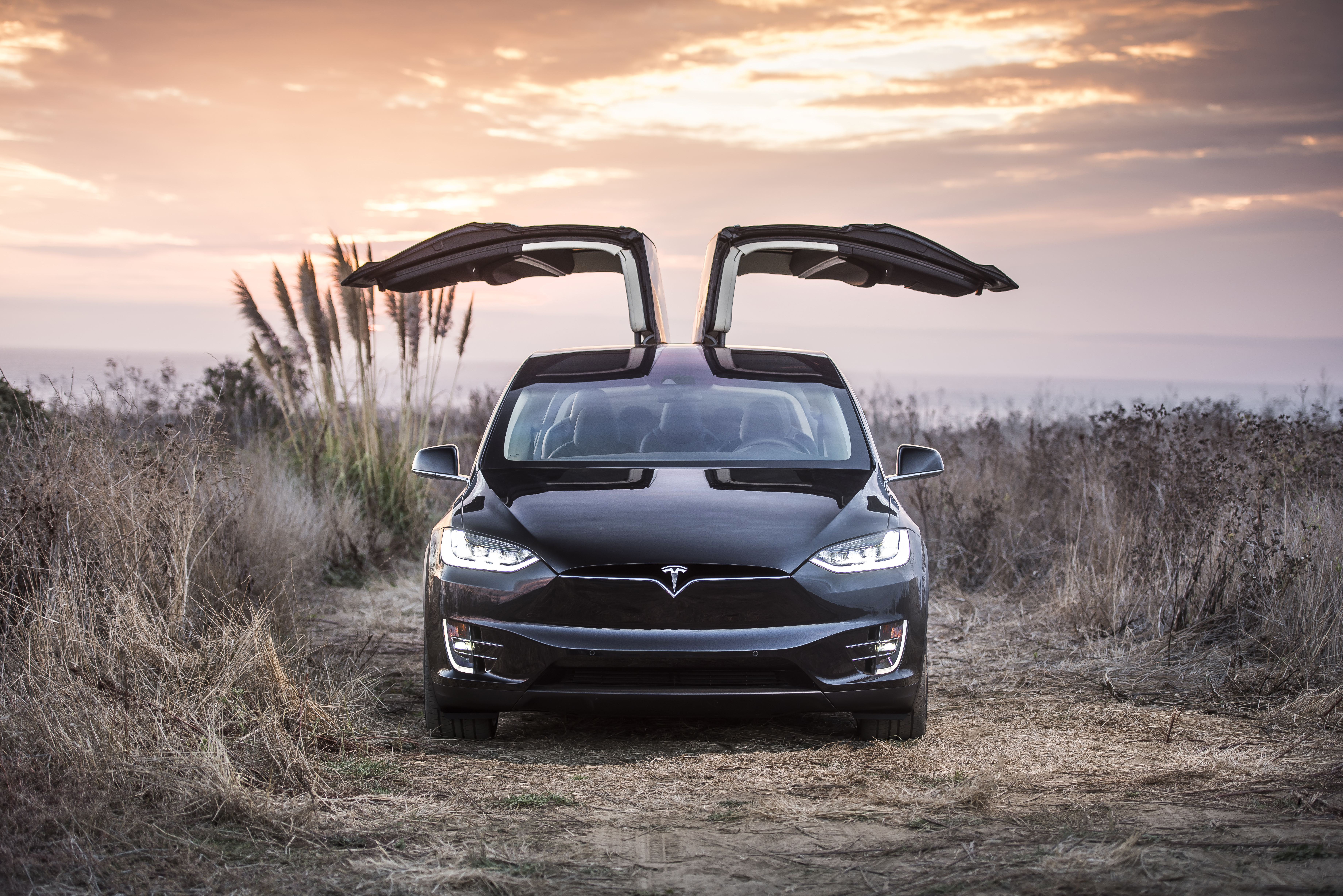 Tesla model deals x worth