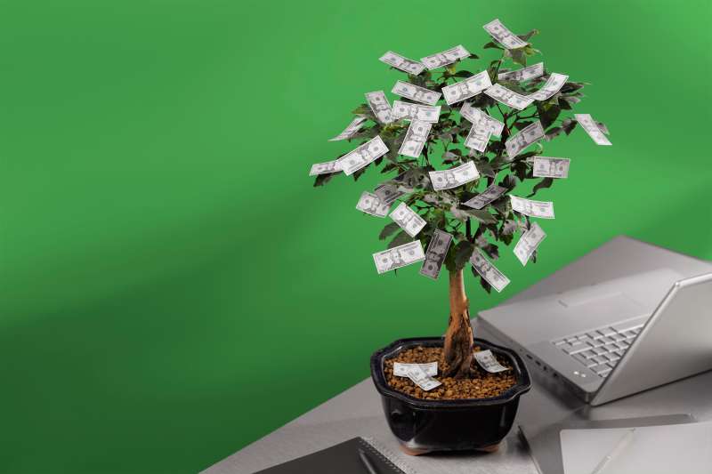 money tree on desk
