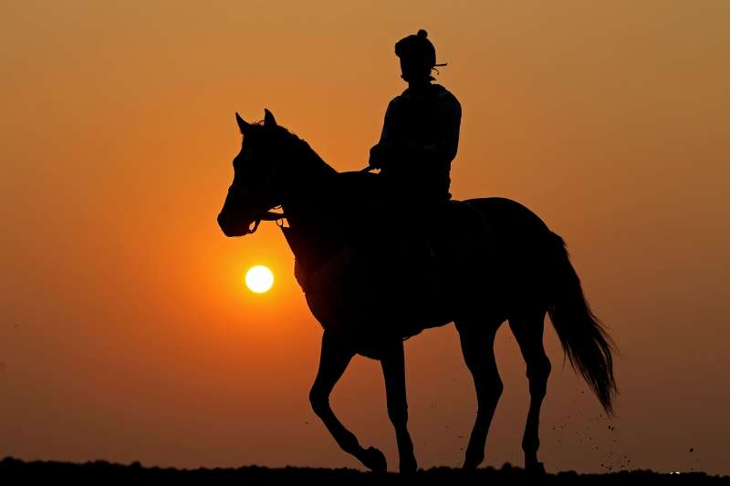 A horse and exercise rider work on the track during a morning training session in preparation for The Belmont Stakes  at Belmont Park on June 9, 2011 in Elmont, New York.