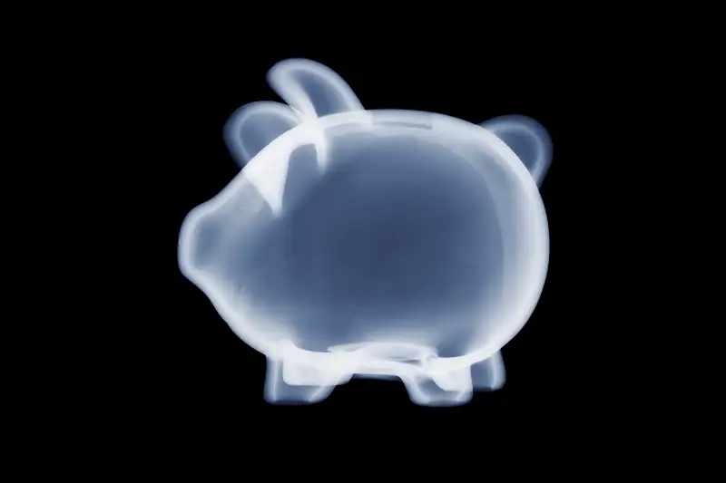 xray of empty piggy bank