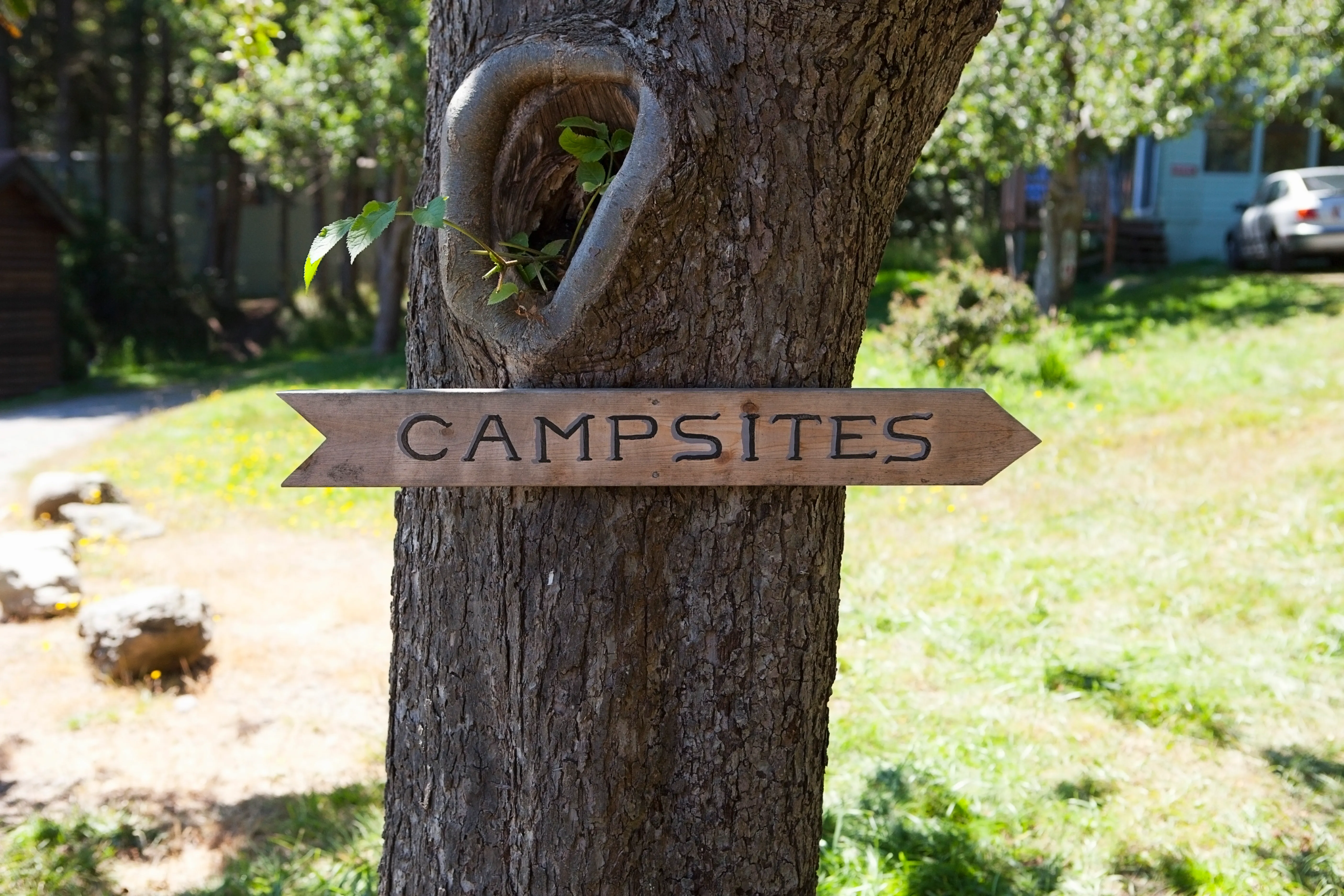 Tax Breaks for Day Camp? Yes, It's True