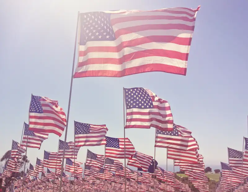 Hazy field of flags