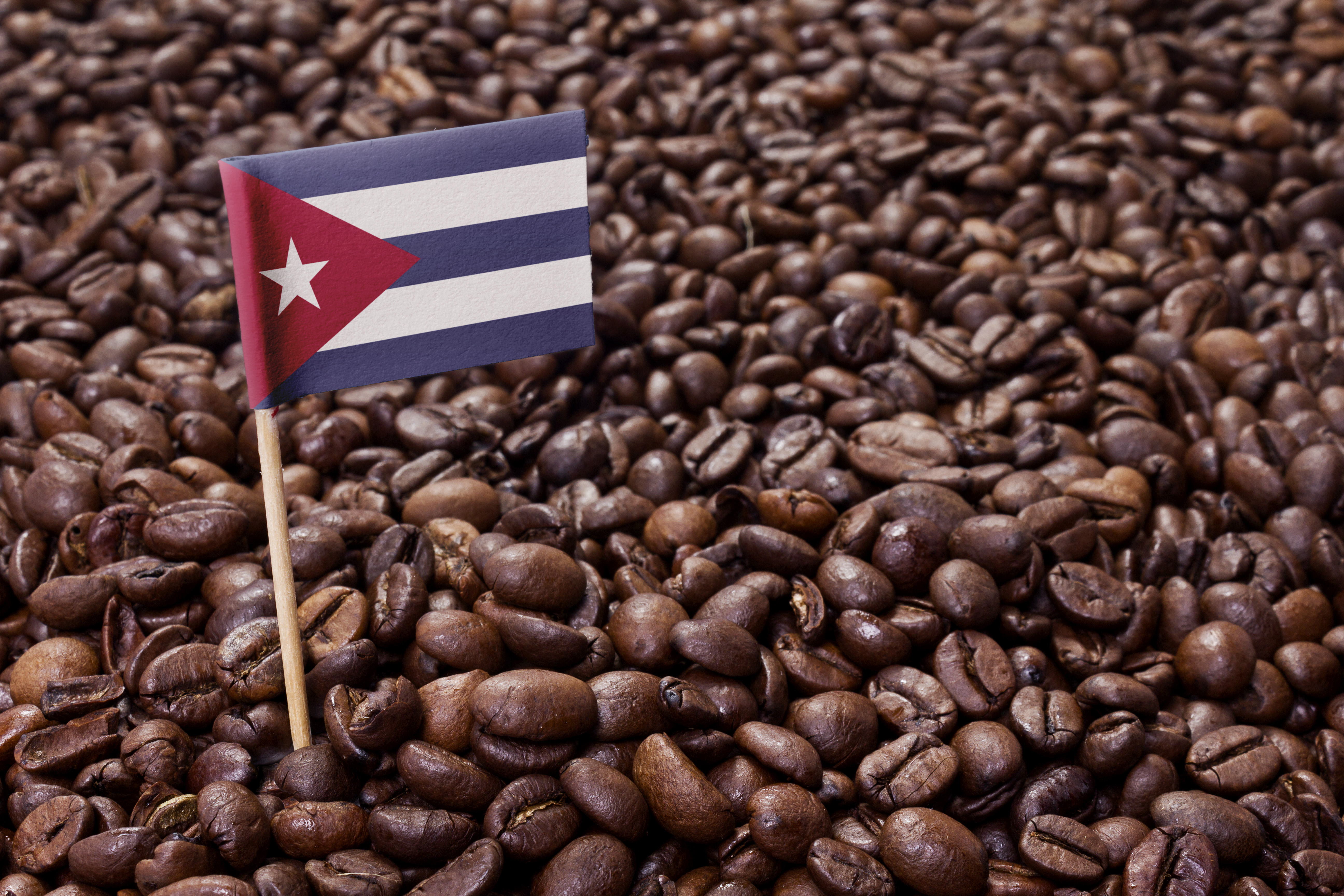 Cuban Coffee Coming Back to the U.S.