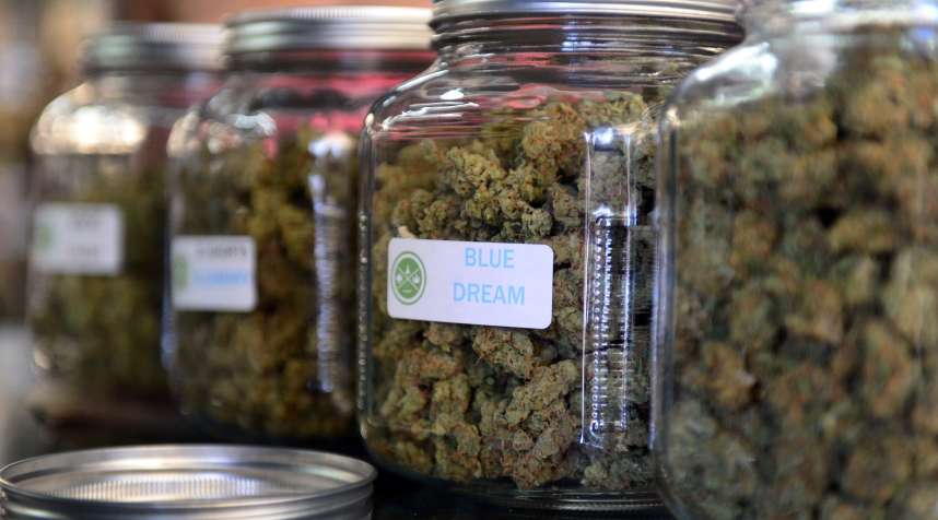 A new study finds that medical marijuana lowers prescription drug use.