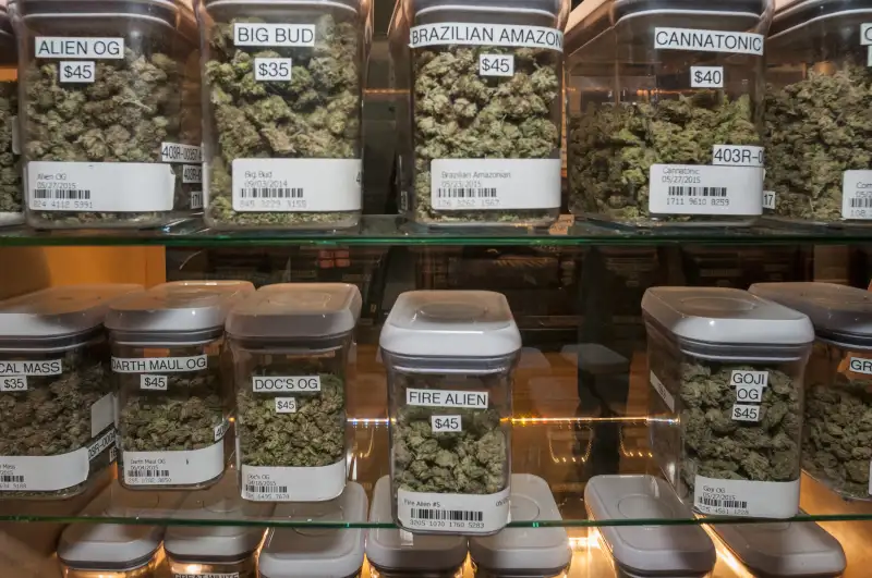 Marijuana hybrid flowers for sale.