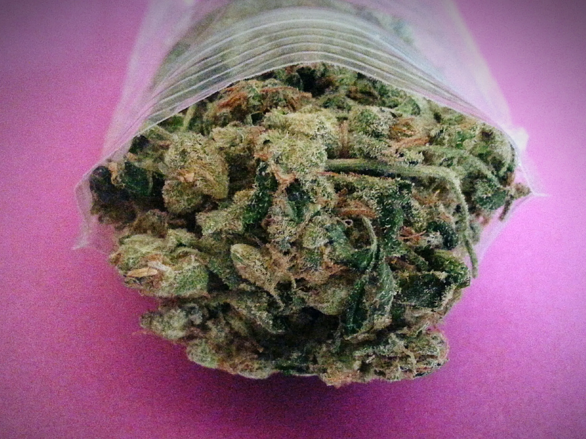 Pot Sales in Washington State Top $1 Billion