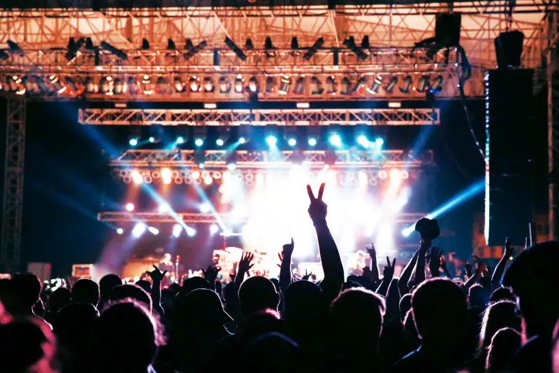 Concert Crowd Silhouette