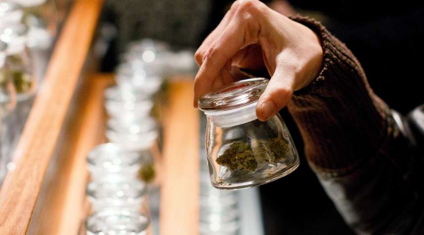 A customer holds a sample bud of marijuana at Amazon Organics, a pot dispensary in Eugene, Ore., Oct. 1, 2015.