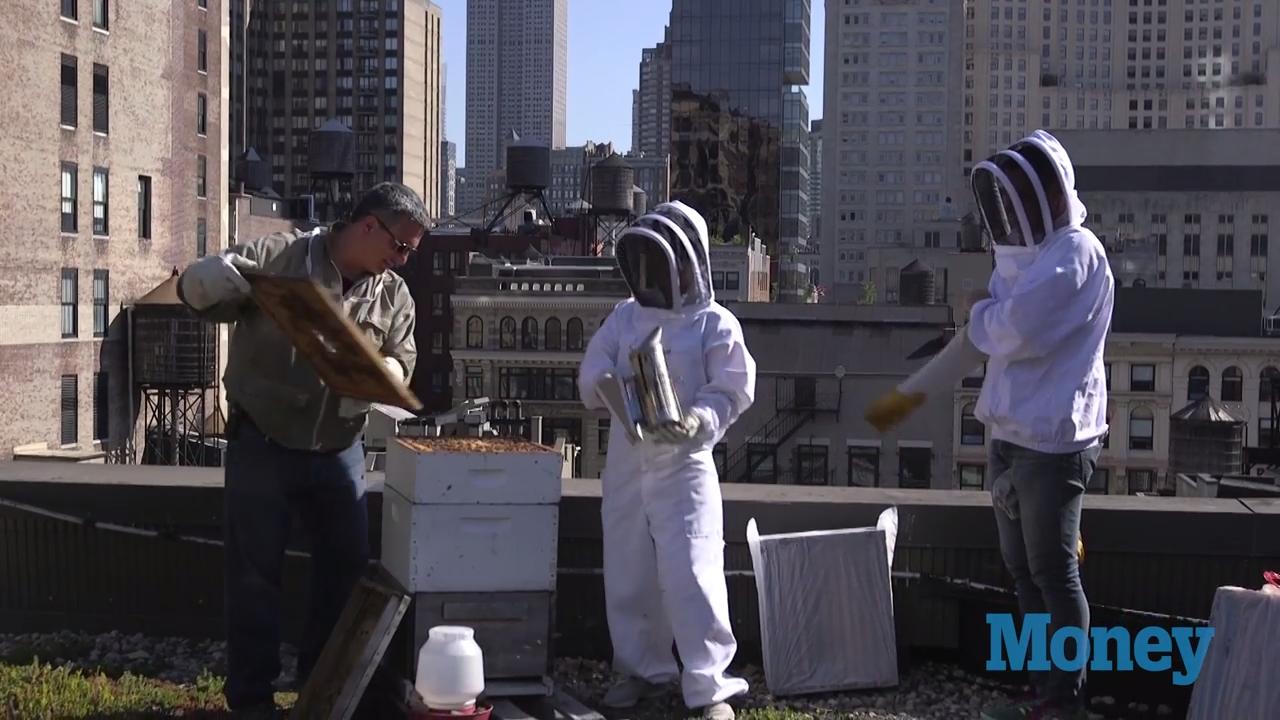 A Day in the Life of an Urban Beekeeper