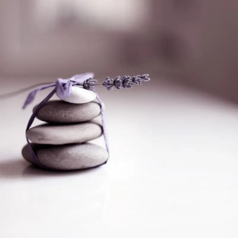 Pebbles Stack And Plant Tied With Ribbon On Table