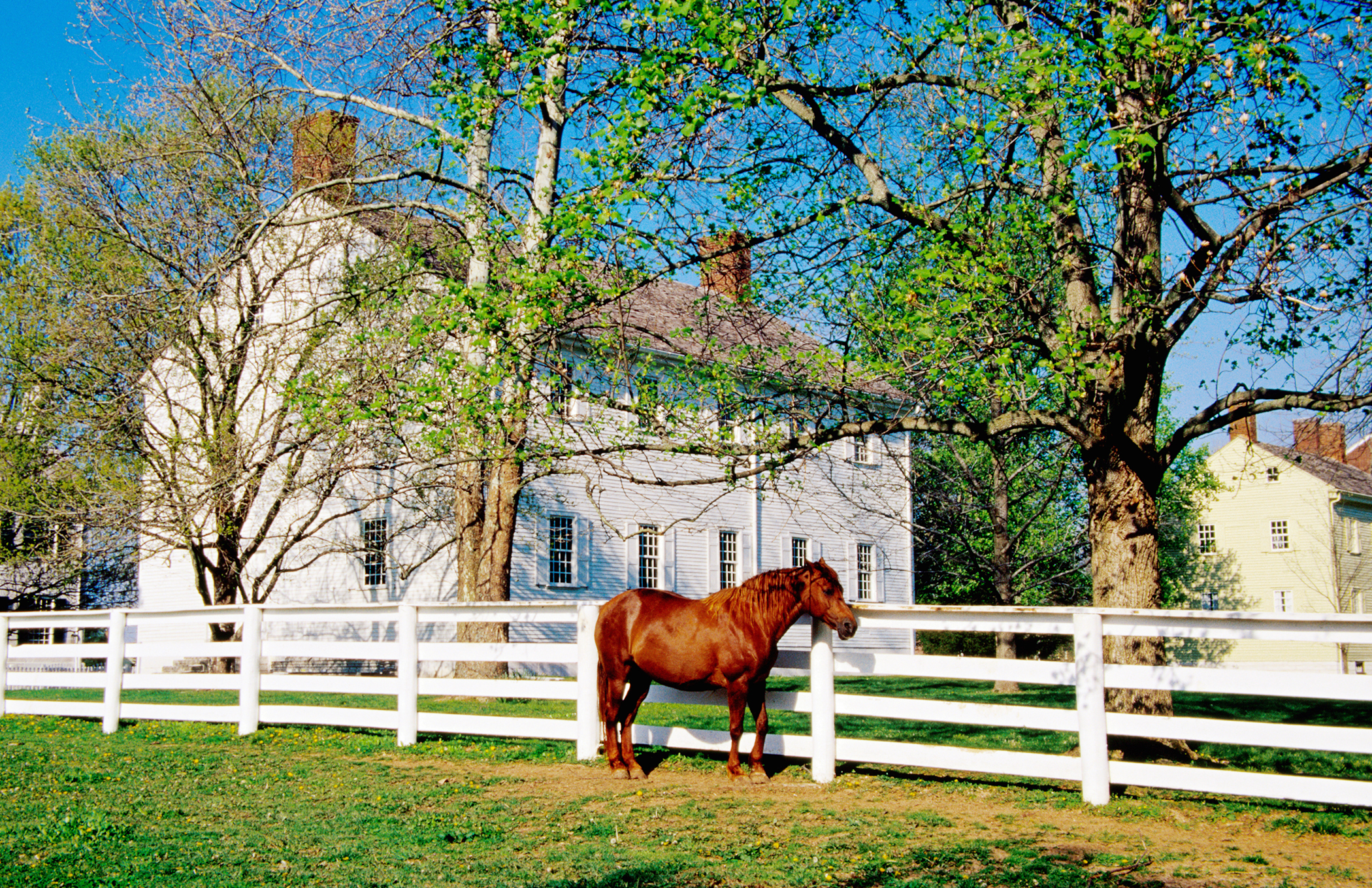 <strong>Lexington, Kentucky.</strong> The Horse Capital of the World is in the center of the inner Bluegrass Region. And have we mentioned you will never have to worry about finding good bourbon again?