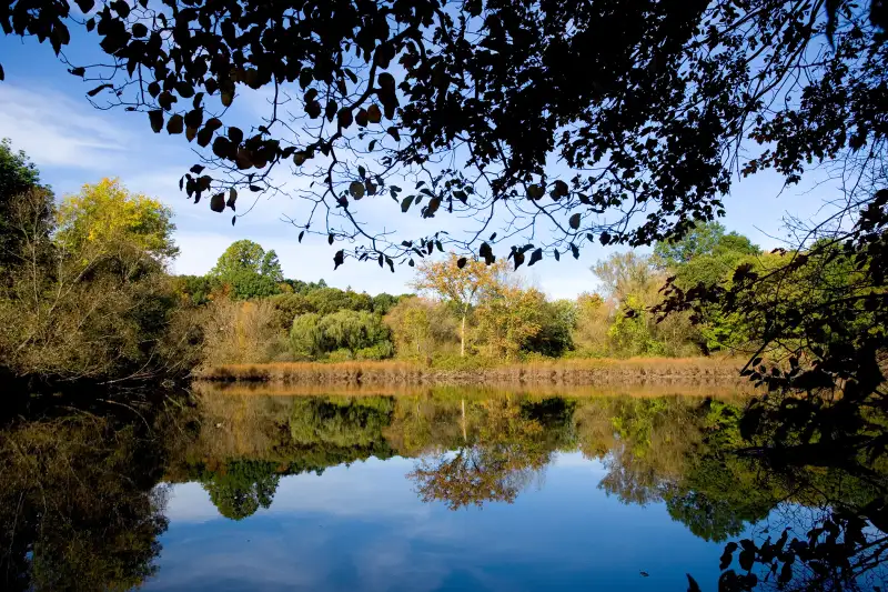 Late summer pond with reflections Hamden Connecticut USA