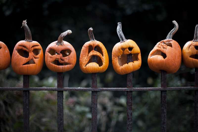 Row of carved pumpkins impaled on fence