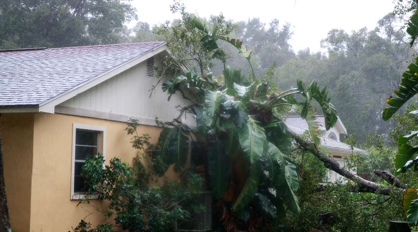 A downed tree from high winds rests against the side of a home in residential community after Hurricane Matthew passes through Ormond Beach, Florida.