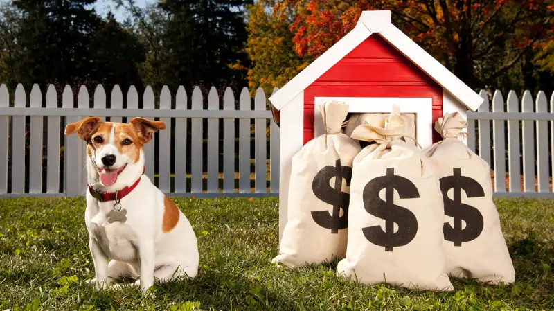 dog and money bags in doghouse