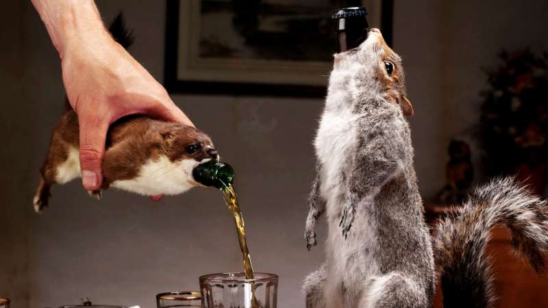 Brew Dog Squirrel Beer