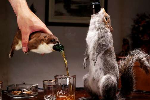 The $20,000 Rare Craft Beer That Comes Packaged in a Squirrel