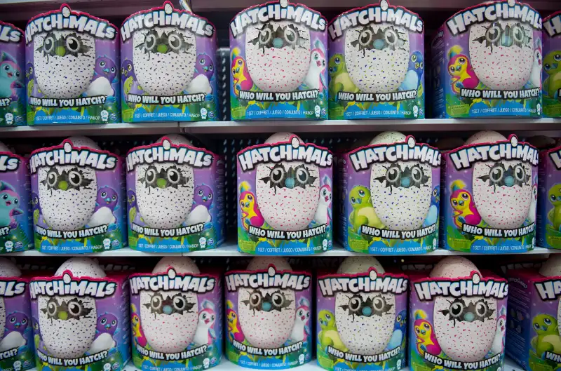 Hatchimals on store shelf.