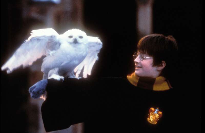 Harry Potter and The Sorcerer's Stone - Movie Stills