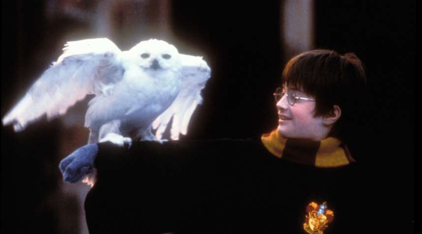 Harry Potter movies have grossed billions of dollars over the years.