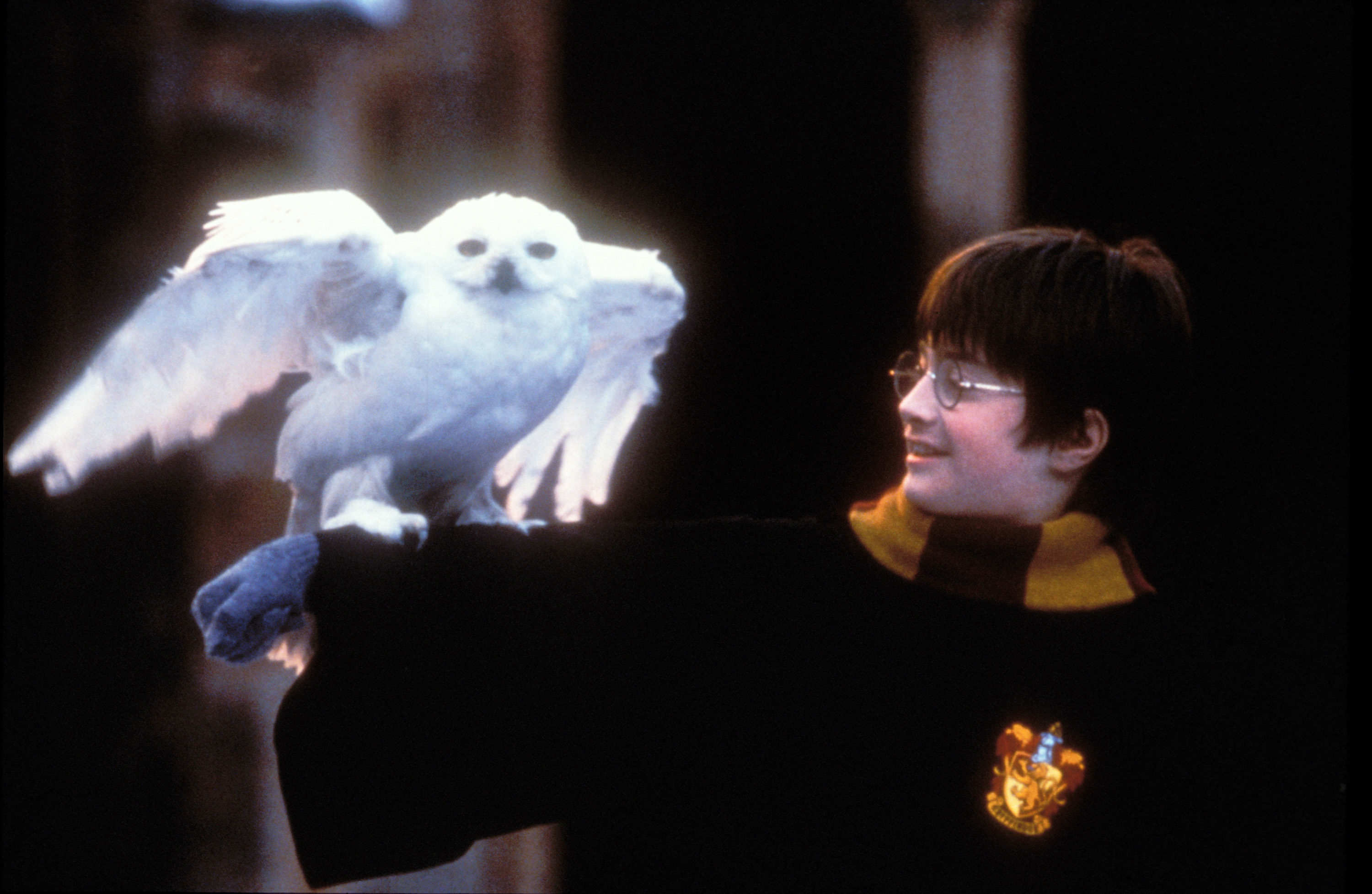 This Is How Much Money the Harry Potter Movies Have Made So Far