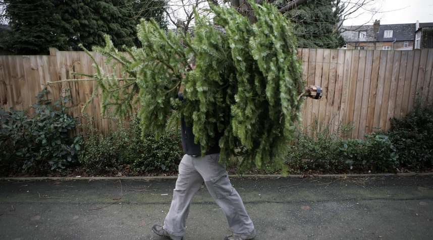 Christmas trees may be more expensive this year.