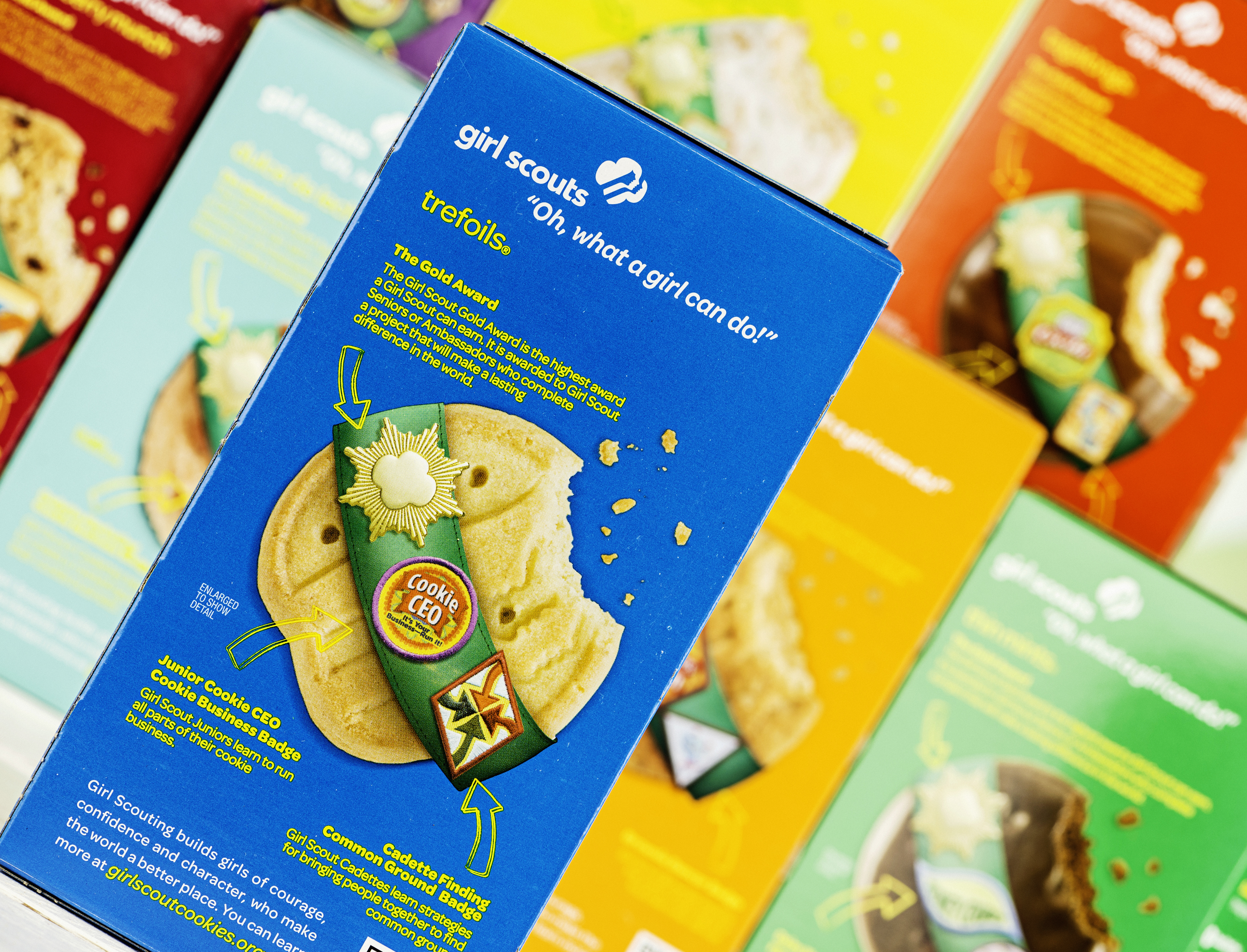 Girl Scout Cookie Prices Are Going Up Again