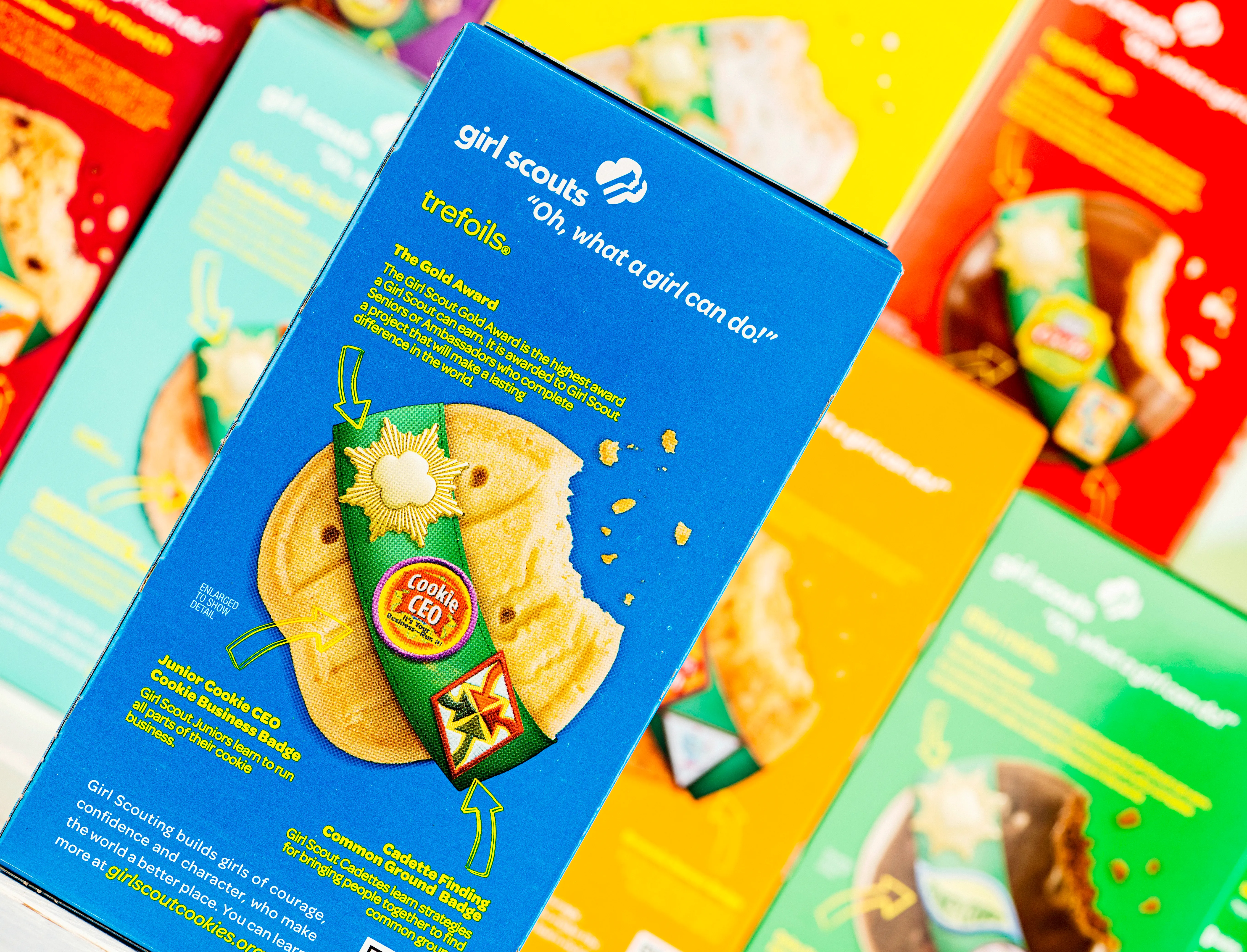 Girl Scout Cookie Prices Are Going Up Again