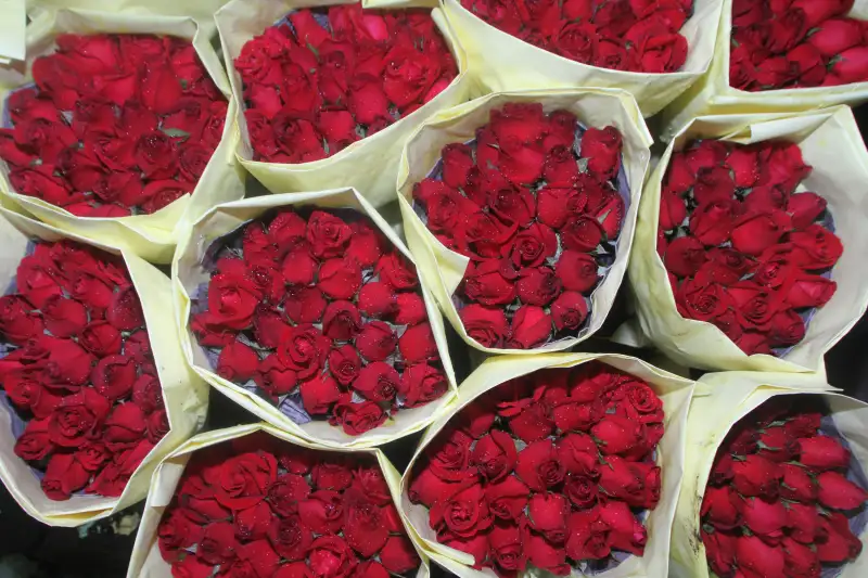 A bouquet of  red roses  for sale before the Valentines Day