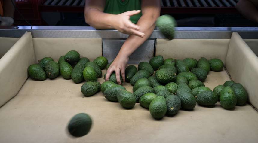 Most avocados sold in the U.S. originate in Mexico. So your guacamole could become more expensive if a 20% Mexican import tax goes into effect.