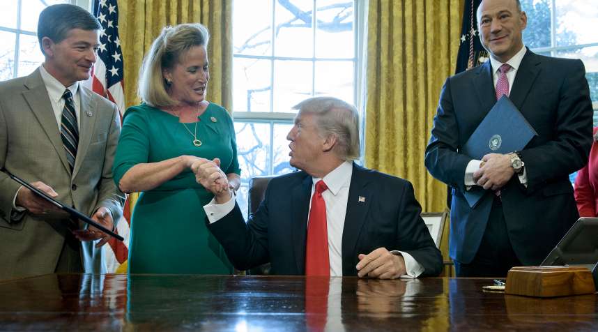 President Donald Trump shakes the hand of Rep. Ann Wagner (R-MO) after signing a memorandum about Labor Department rules on financial advice at the White House on February 3, 2017.