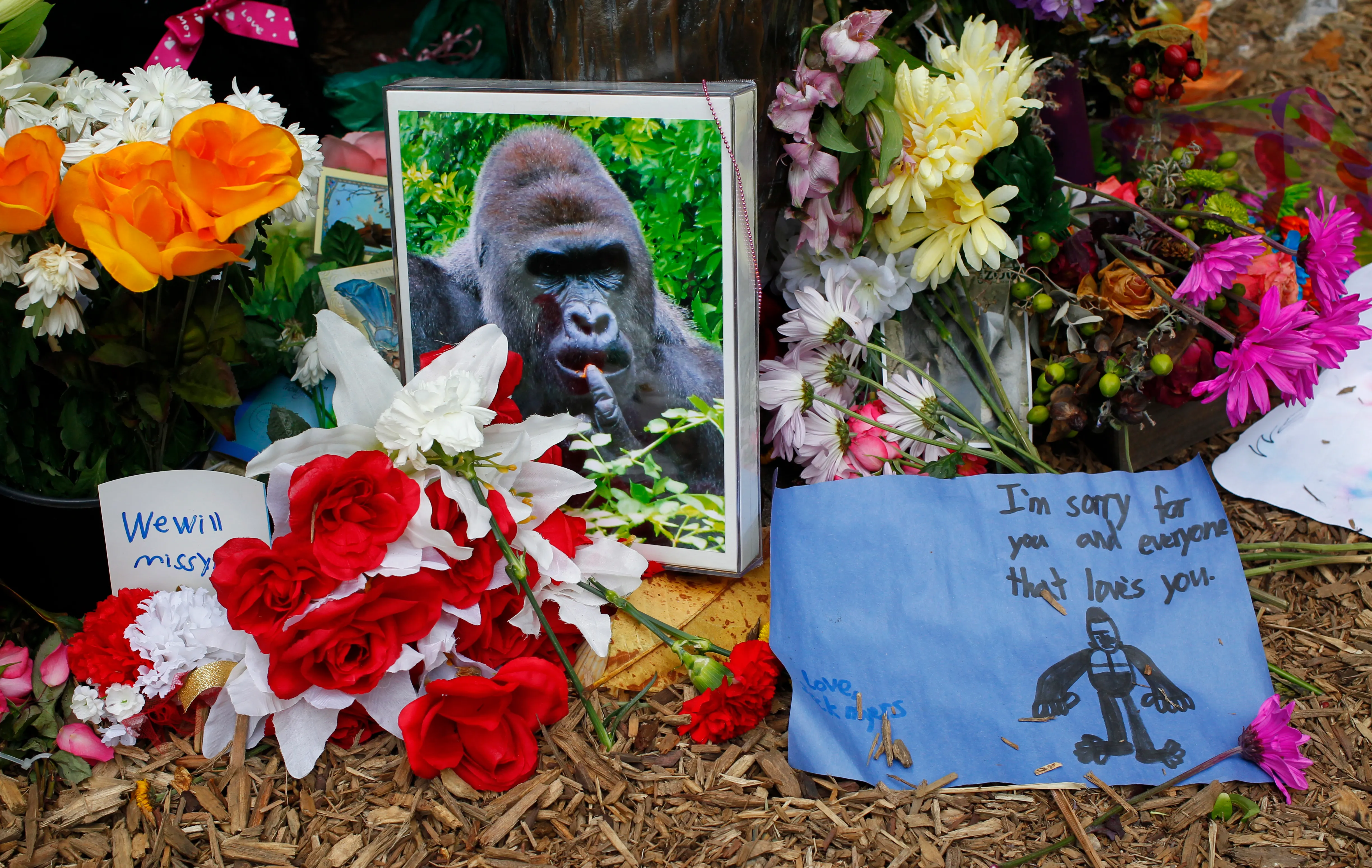 This Harambe-Shaped Cheeto Sold For Nearly $100,000 on Ebay