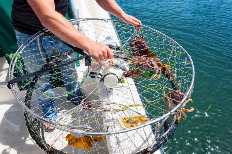 Crab Fishing