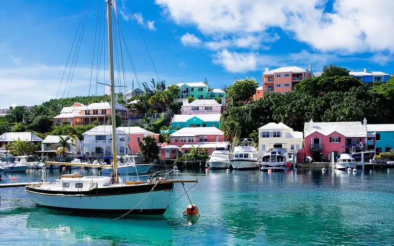 Boats in harbor