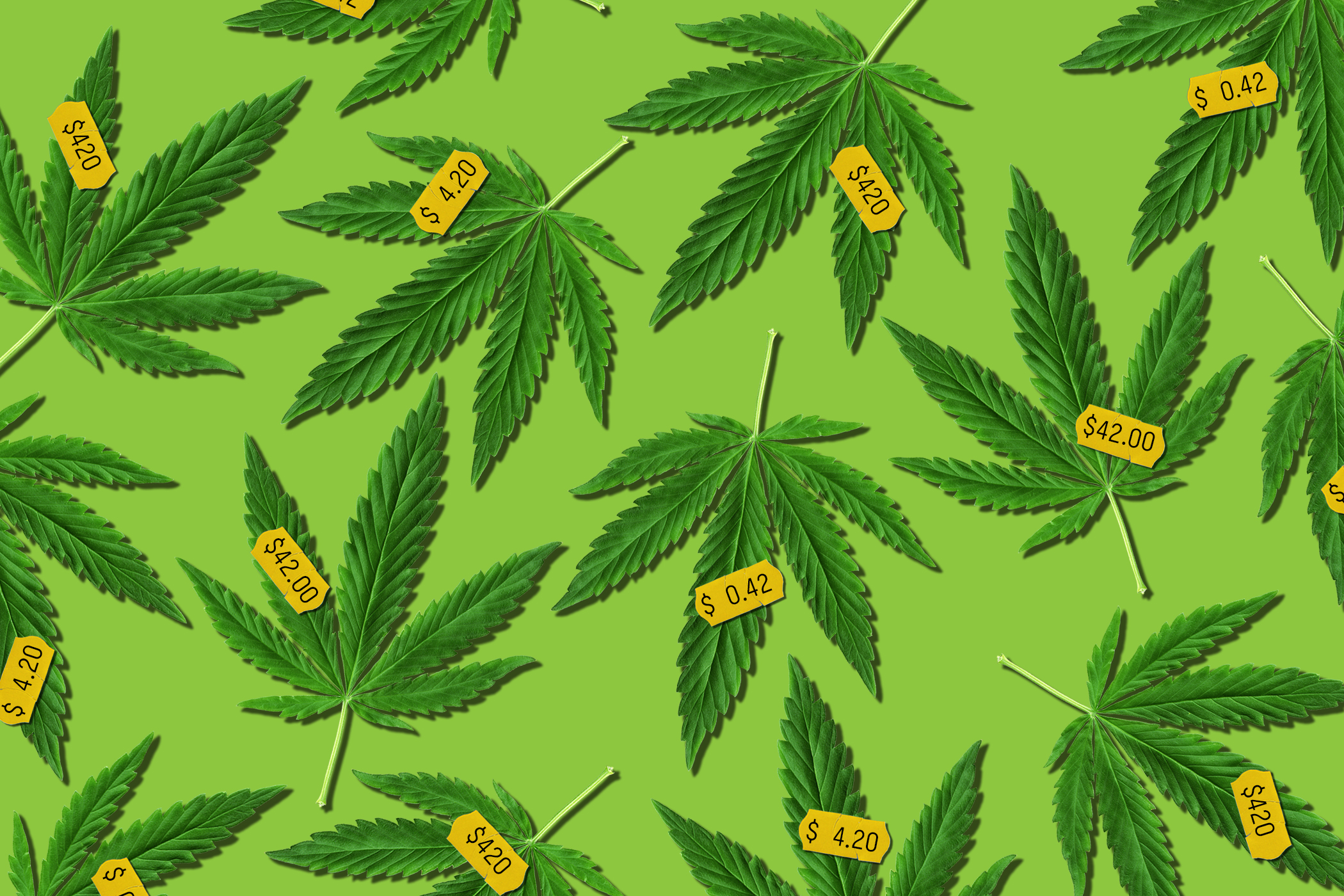 Inside the Confusing, Unregulated World of Legal Weed Prices