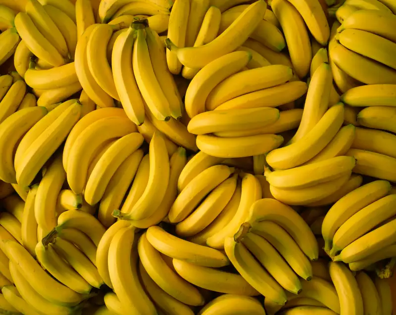 Bunches of bananas