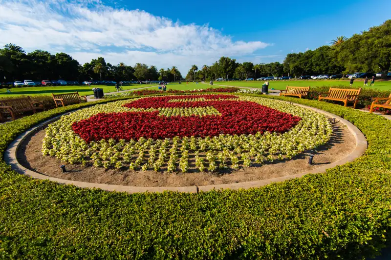 Garden flower design with Stanford University logo