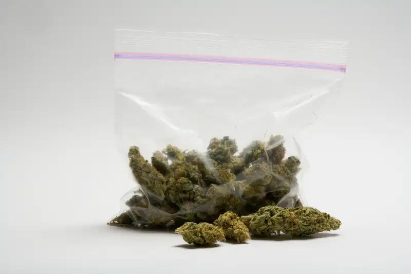 Marijuana in bag