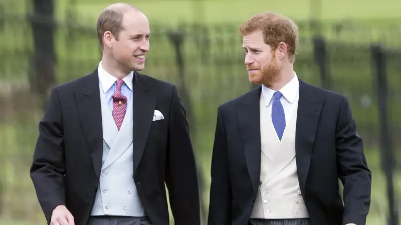 Prince William and Prince Harry Wedding of James Matthews and Pippa Middleton, St. Mark's Church, Englefield, United Kingdom, May 20, 2017.